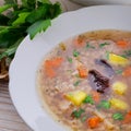 Krupnik Ã¢â¬â Polish Pearl Barley Soup Royalty Free Stock Photo